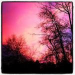 The Co-op of Sioux Falls